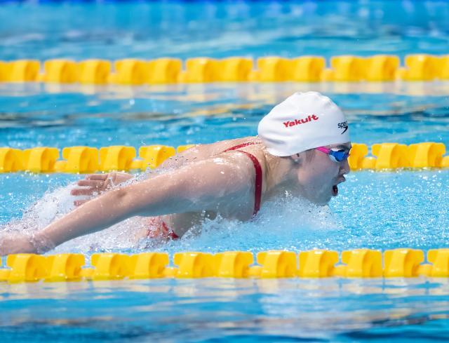 开云下载-游泳世锦赛首日：张雨霏汪顺亮相 李冰洁争奖牌？